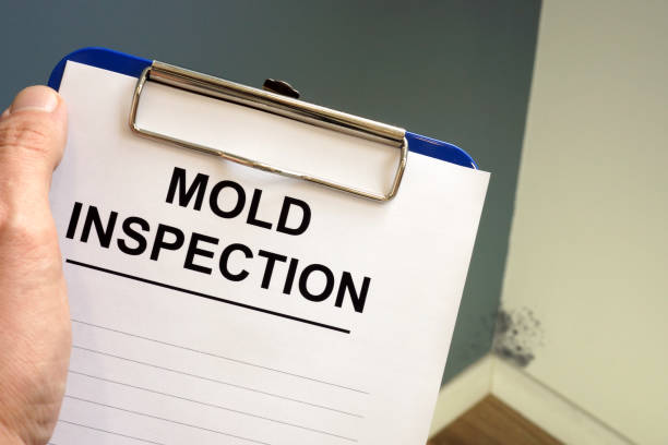 Mold Remediation for Vacation Homes in Taylorsville, MS